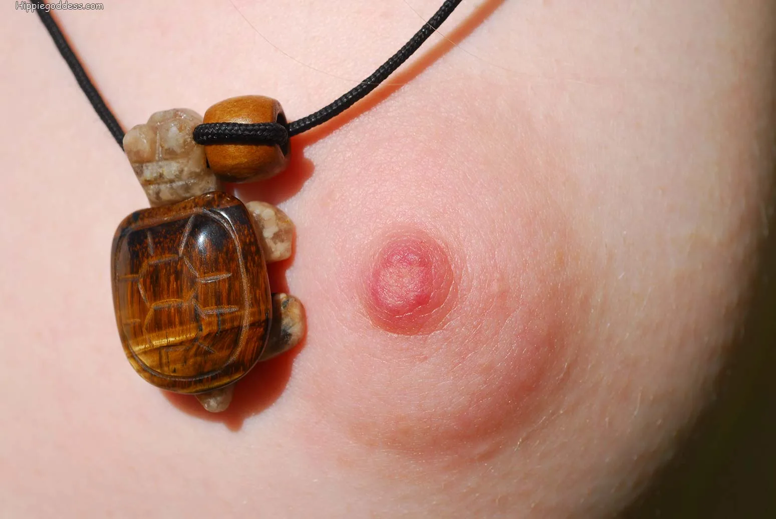 Heket - 64