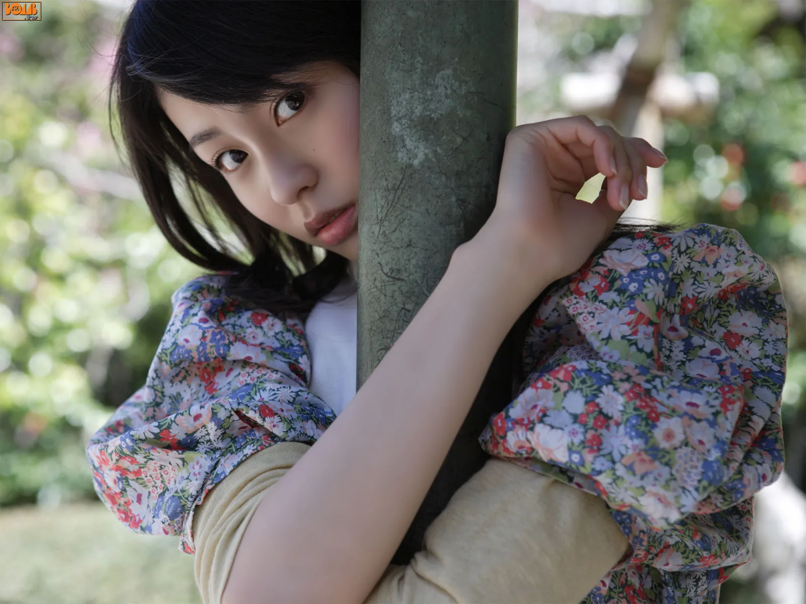 Bom.TVNgôi nhà nhỏ này là tác phẩm đẹp nhất của Yuika Motokariya, năm 2008-2008. - 7