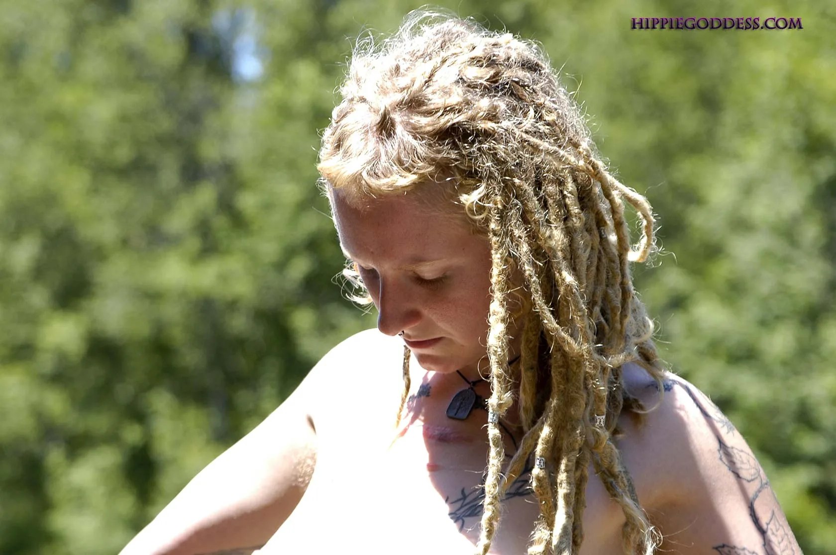 Willow2 - 132