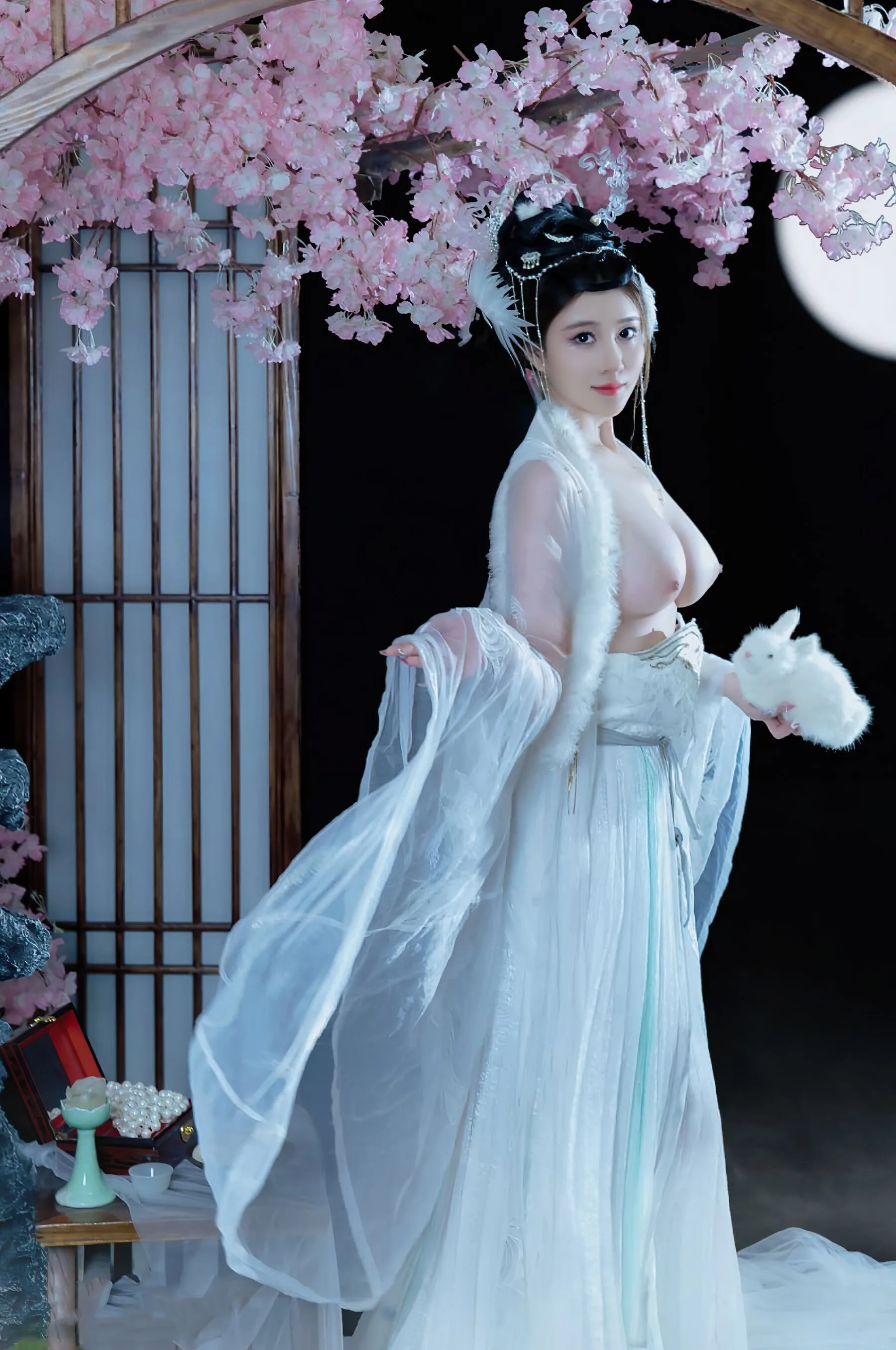 Áo choàng quốc gia 2011 Chang'e Xianzi - 9