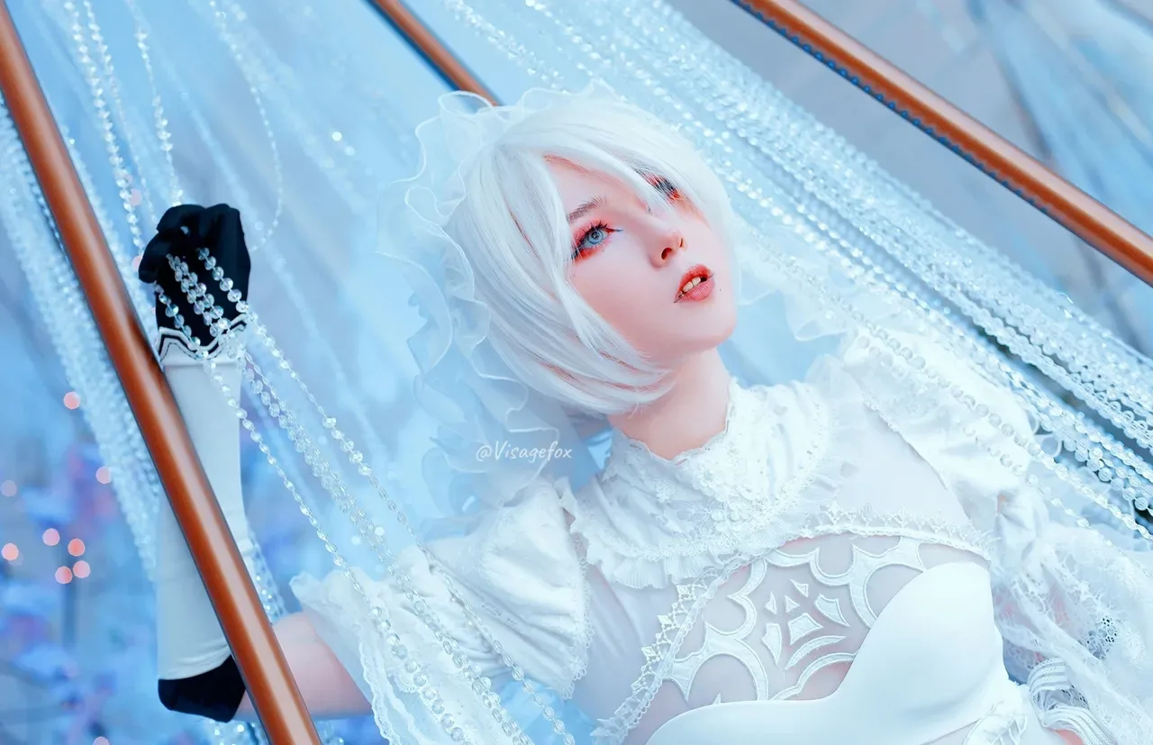 Visage Fox | 2B - 30