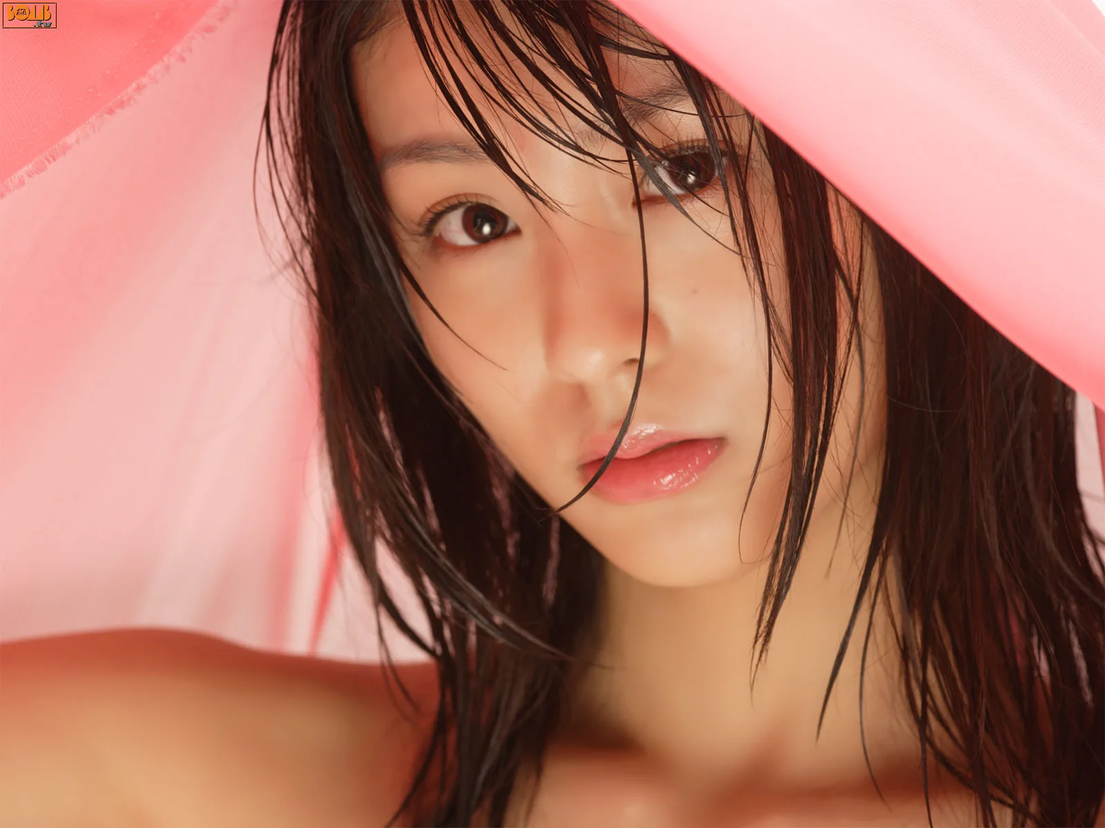 Bom.TVNgôi nhà nhỏ này là tác phẩm đẹp nhất của Yuika Motokariya, năm 2008-2008. - 17