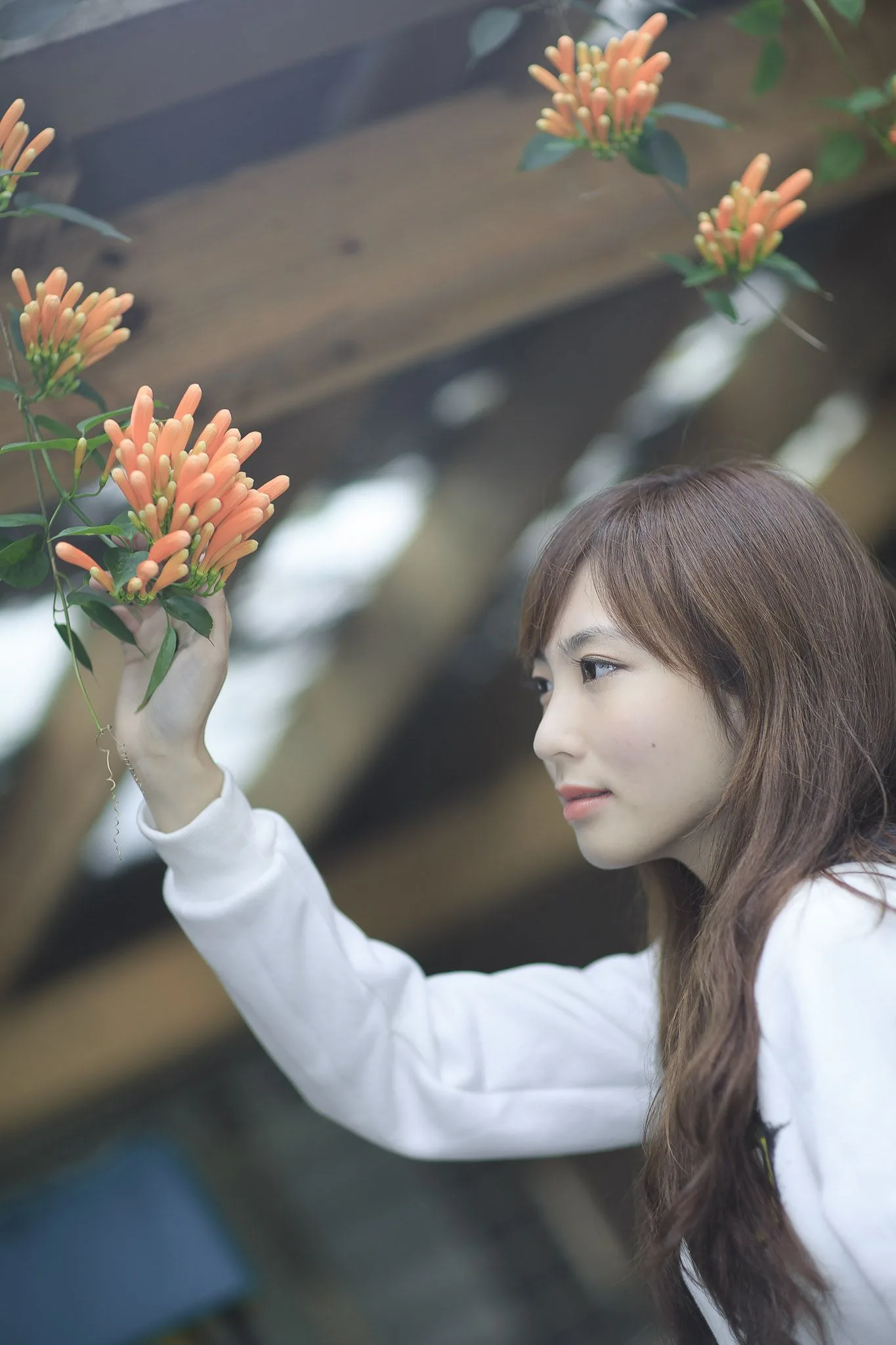 Bộ sưu tập ảnh ngoài trời về những cô gái Đài Loan xinh đẹp và trong sáng. - 2
